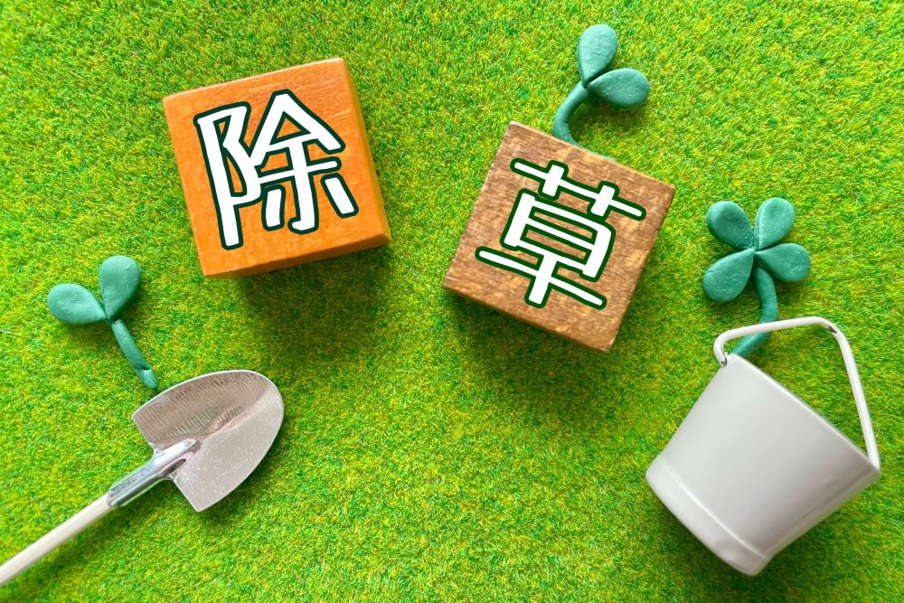 顆粒の除草剤の正しい撒き方