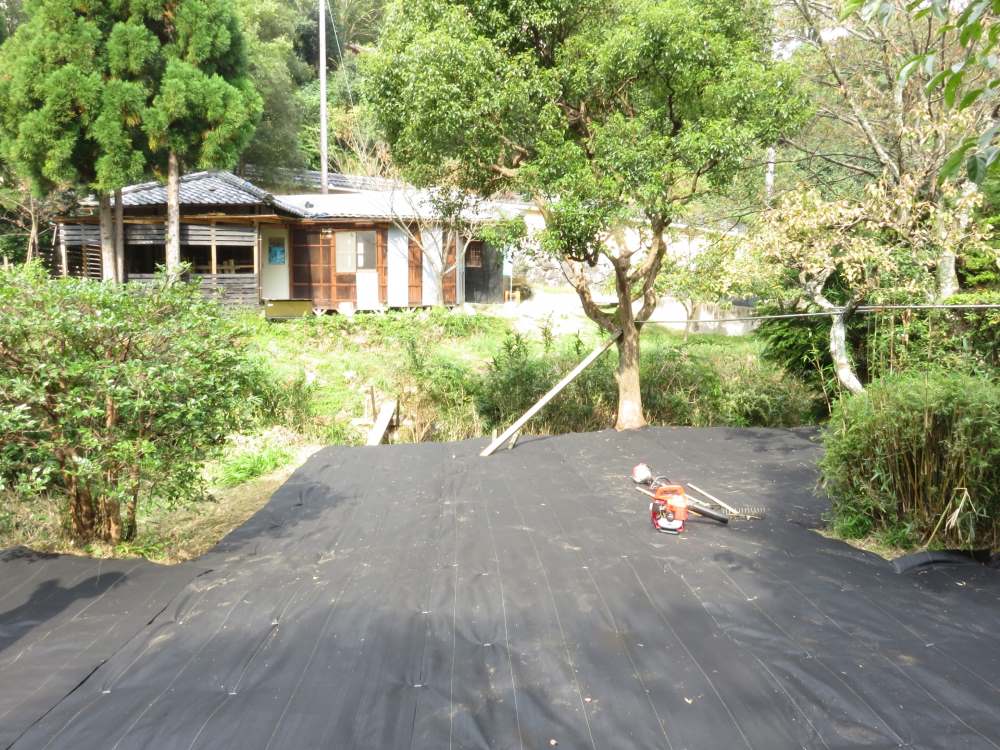 防草シートの基本的な知識