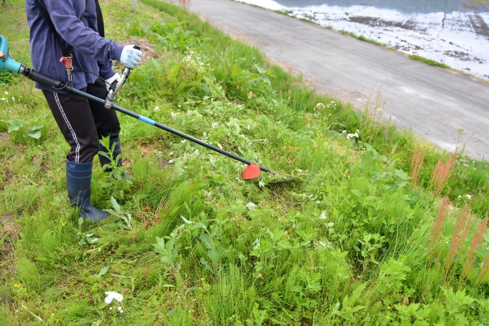 鶴ヶ島市で草刈機をレンタルする方法を分かりやすくご説明します