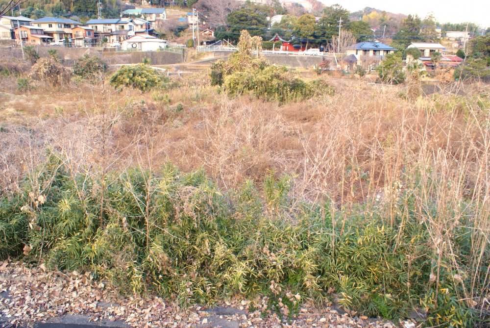 耕作放棄地の草刈り