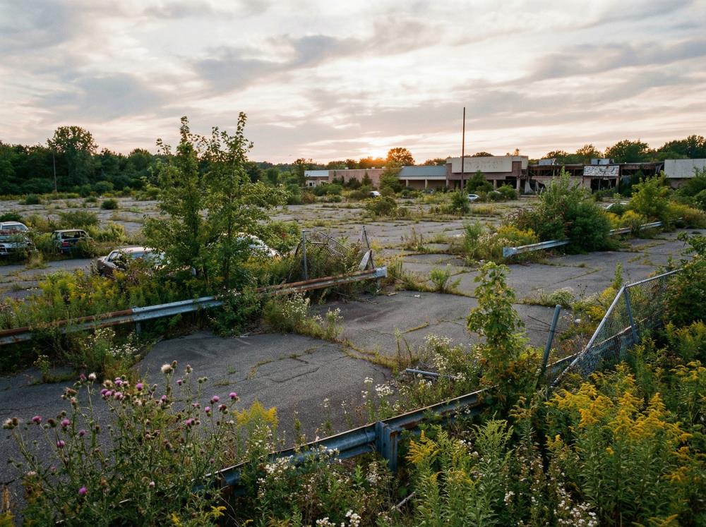 駐車場の草刈り