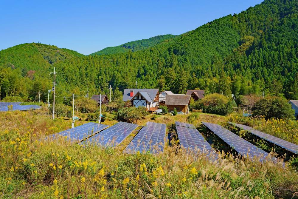 太陽光発電の草刈り