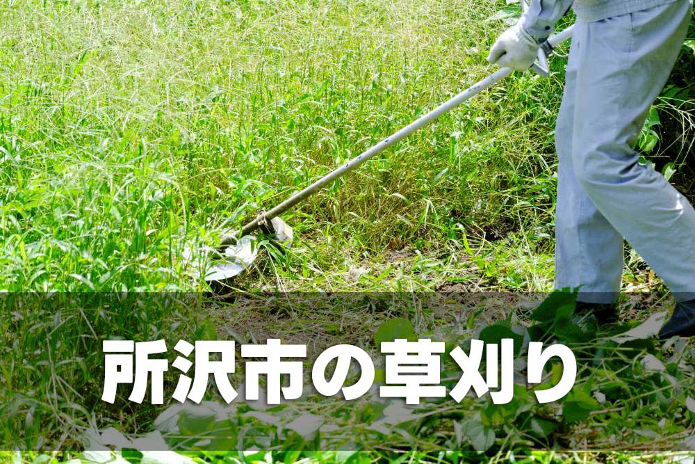所沢市の草刈り