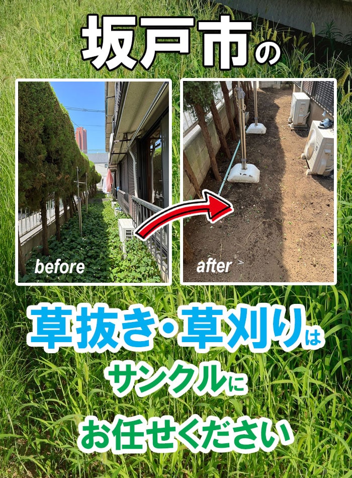 坂戸市の草刈り（草抜き）依頼