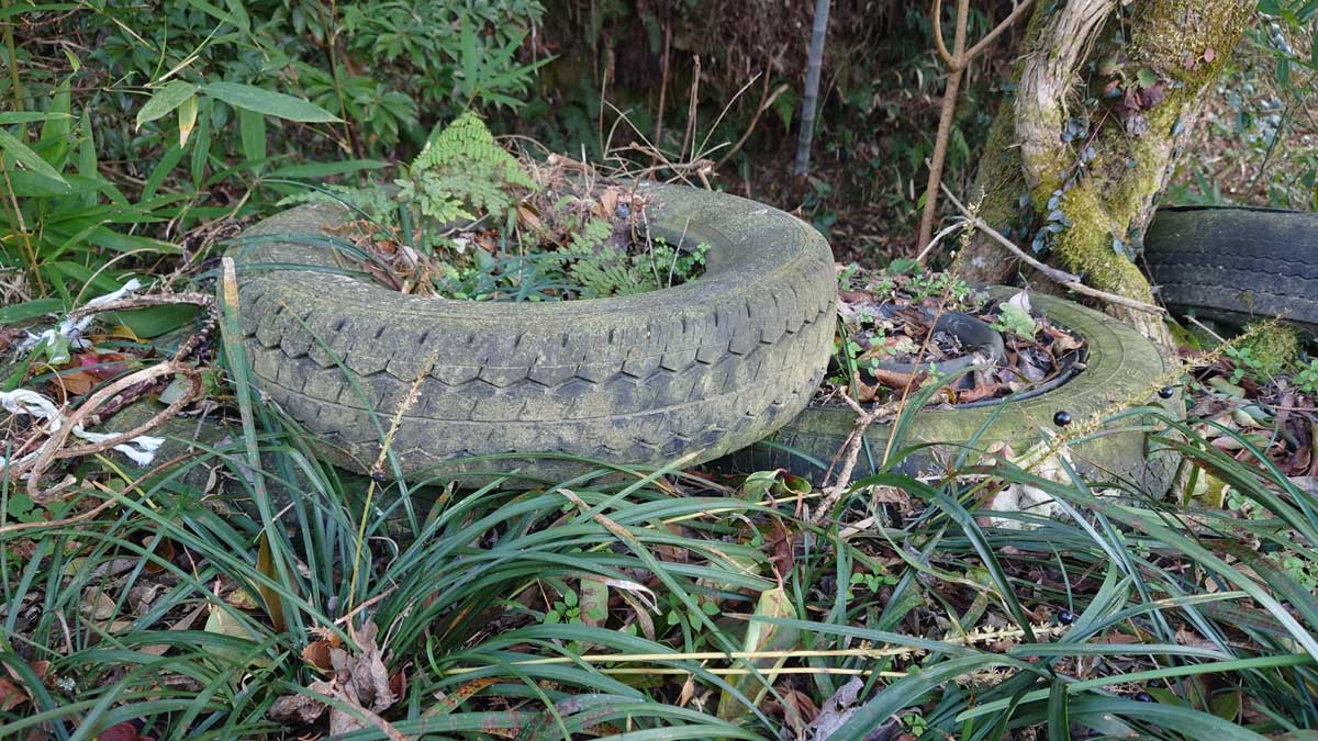 不法投棄されやすい空き家の５つの特徴